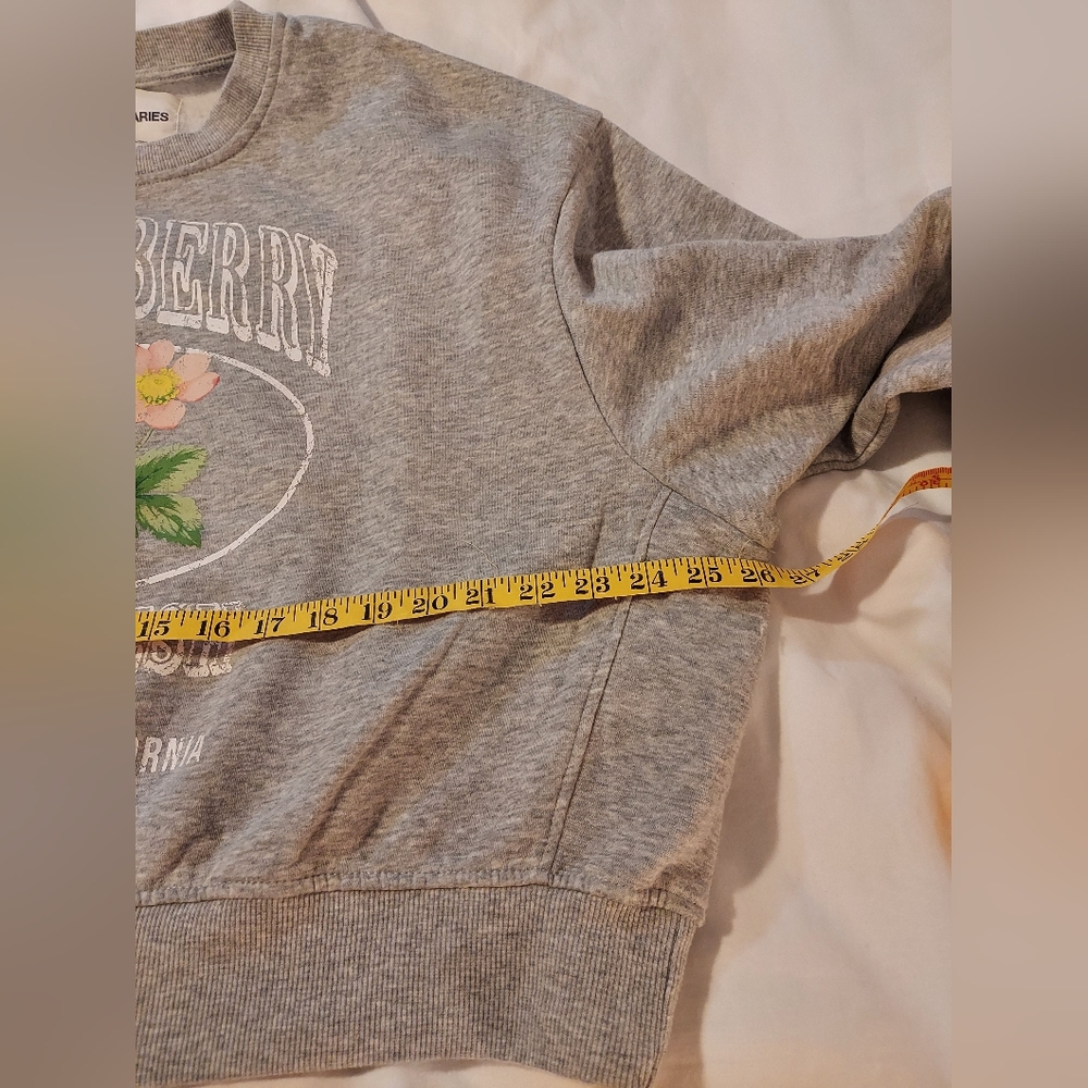 No Boundaries Heather Gray Boxy Cropped Strawberry Graphic Sweatshirt - Picture 5 of 7